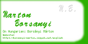 marton borsanyi business card